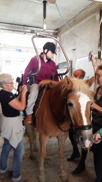Nieuwe paardenlift voor manage Kennemergaarde
